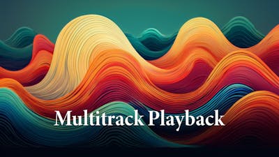 Multi Track Playback UI